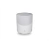 Bluesound Pulse M (P230)