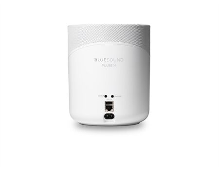 Bluesound Pulse M (P230)