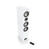 Canton SMART TOWNUS 8 /PAAR
