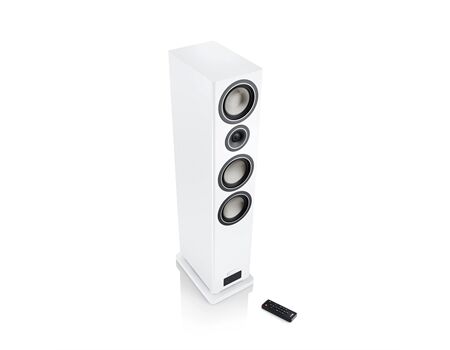 Canton SMART TOWNUS 8 /PAAR