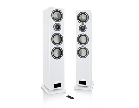 Canton SMART TOWNUS 8 /PAAR