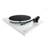 Rega Planar 3 (ohne System)