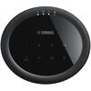 Yamaha MusicCast 20 (WX-021)