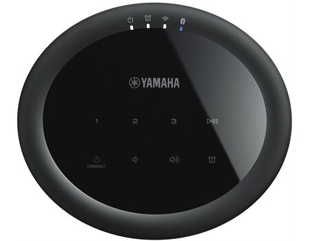 Yamaha MusicCast 20 (WX-021)