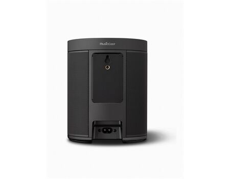 Yamaha MusicCast 20 (WX-021)