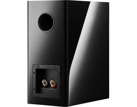 DynAudio Evoke 20 /Paar
