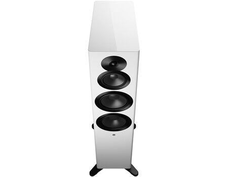 DynAudio Focus 50 /Paar