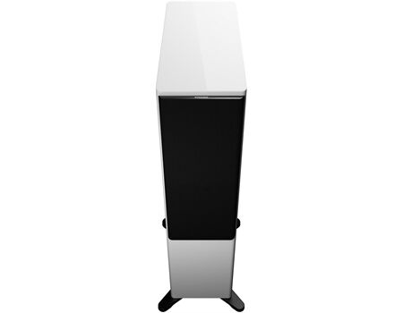 DynAudio Focus 50 /Paar